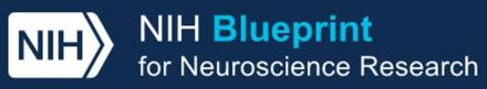 NIH Blueprint for Neuroscience Research banner