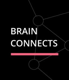 BRAIN CONNECTS