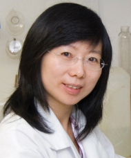 Photo of Yanhong Shi, Ph.D.