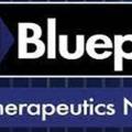 NIH Blueprint Neurotherapeutics Network