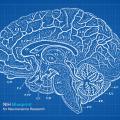 Brain drawing in white font on blue graph paper-style background. Corner graphic: NIH Blueprint for Neuroscience Research